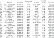 凭借重仓可转债，“固收+”今年又行了|界面新闻